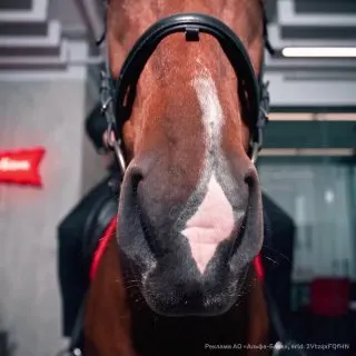 Пост из Немалый бизнес