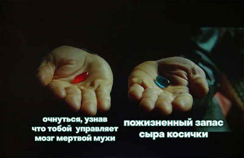 Пост канала «ARC» от 16 сентября 2026 г.