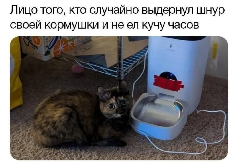 Пост канала «Addicted to Pi» от 30 сентября 2026 г.