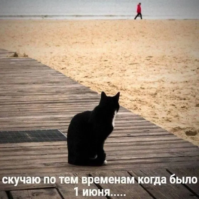 Пост канала «After titles» от 29 сентября 2026 г.