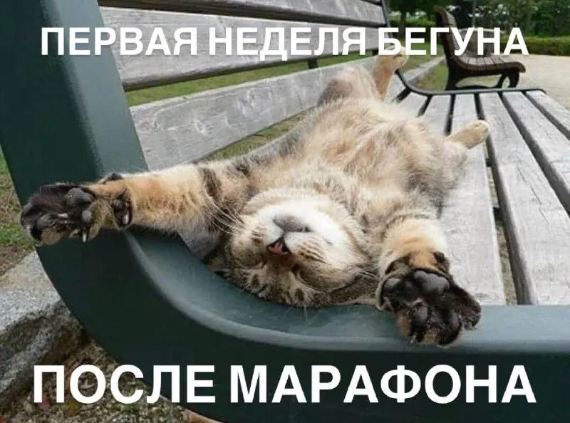 Post by “Академия бега S10.run” from September 29, 2026