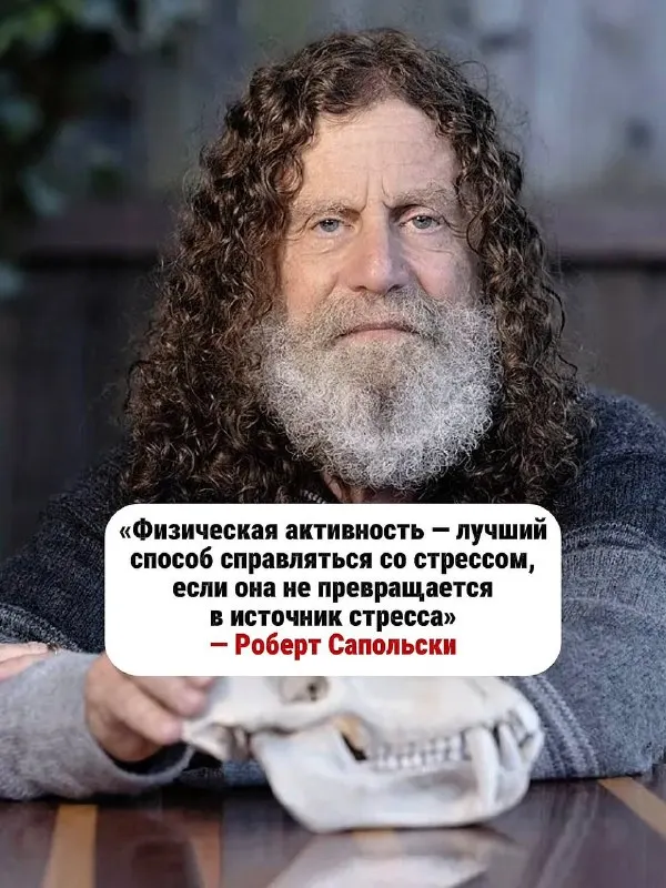 Post by “Академия бега S10.run” from September 30, 2026