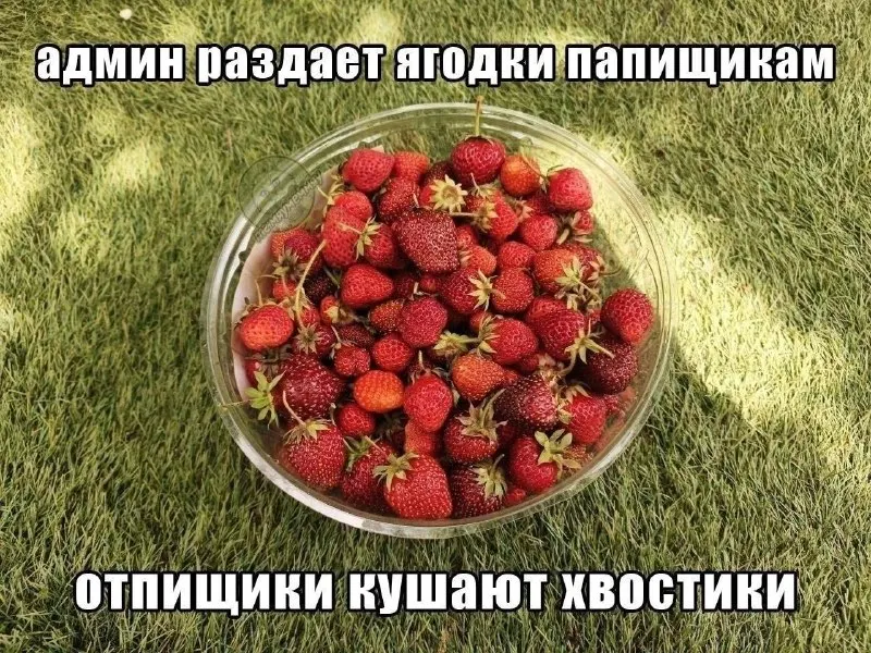 Post by “Творожник Тревожник” from September 20, 2026