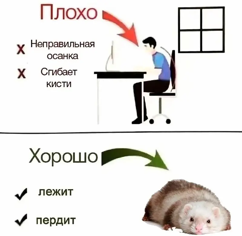 Post by “Творожник Тревожник” from September 28, 2026