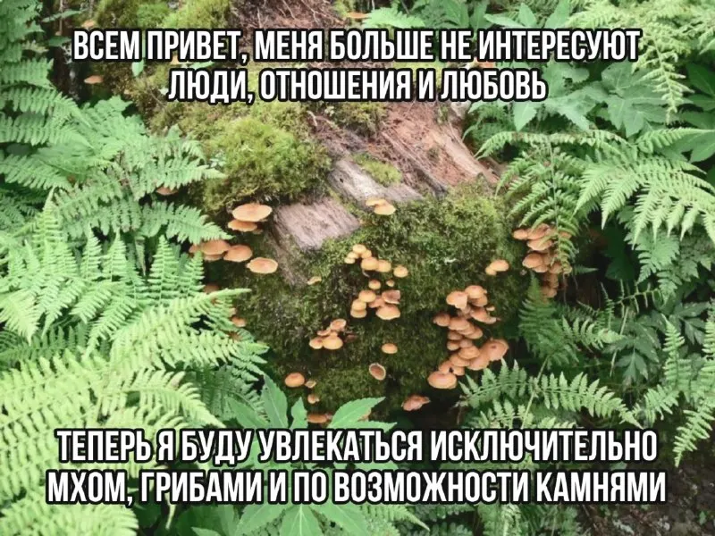 Post by “Творожник Тревожник” from September 30, 2026