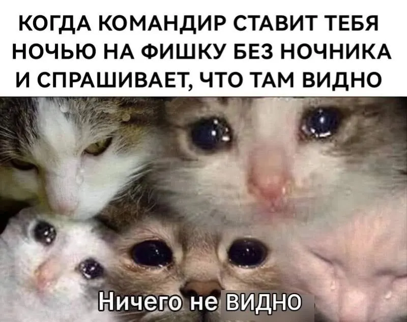 Пост канала «альтер эго zдесь🇷🇺☦️» от 30 сентября 2026 г.