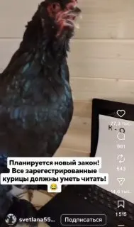 Пост из КПО - Анна Руднева