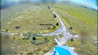 Пост из 44 АК