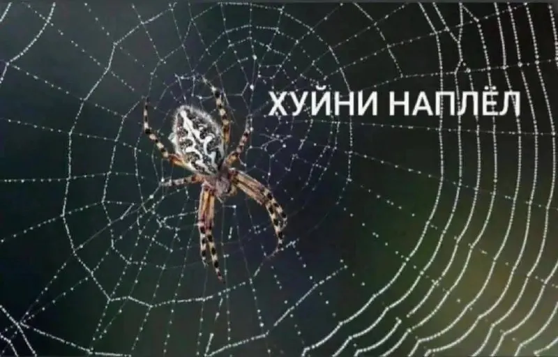 Пост канала «уволено» от 27 сентября 2026 г.