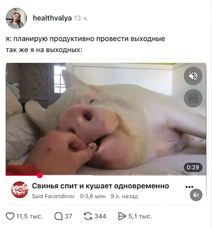 Пост канала «уволено» от 29 сентября 2026 г.