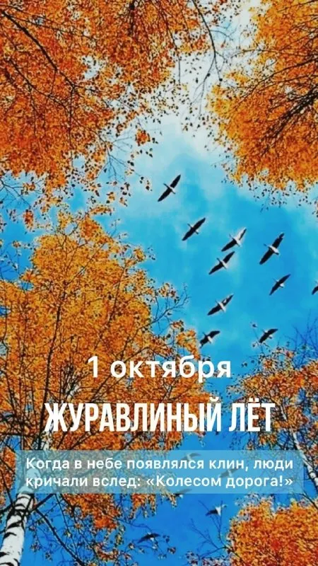 Пост канала «Авдеевка.РУ🇷🇺» от 1 октября 2026 г.