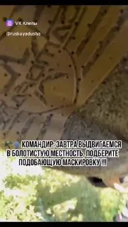 Пост канала «Лысые из ЖАБИ-ЖАБИ» от 22 сентября 2026 г.