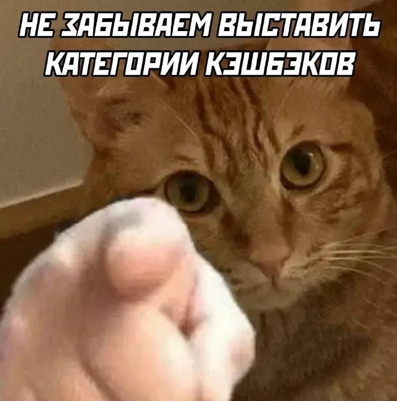 Post by “Бар 🍂 Alice in Memeland 🍂 (formerly Бар 🌞 Alice in Memeland 🌞)” from October 1, 2026