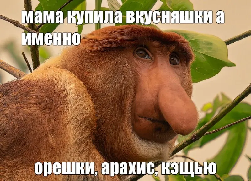 Пост канала «БУРУНДУК С ОРЕШКАМИ (ранее МЕСОПОТАМ С АРБУЗАМИ)» от 30 сентября 2026 г.