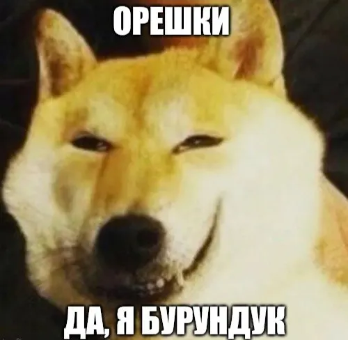 Пост канала «БУРУНДУК С ОРЕШКАМИ (ранее МЕСОПОТАМ С АРБУЗАМИ)» от 30 сентября 2026 г.