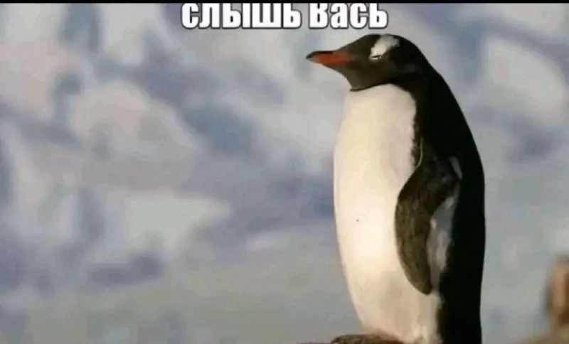 Пост канала «БУРУНДУК С ОРЕШКАМИ (ранее МЕСОПОТАМ С АРБУЗАМИ)» от 30 сентября 2026 г.