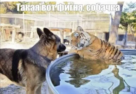 Пост канала «Без повода | Афиша 74.RU | Челябинск» от 1 октября 2026 г.