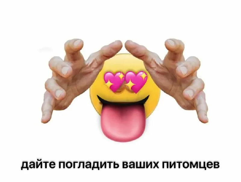 Пост канала «Биологические беруши» от 30 сентября 2026 г.
