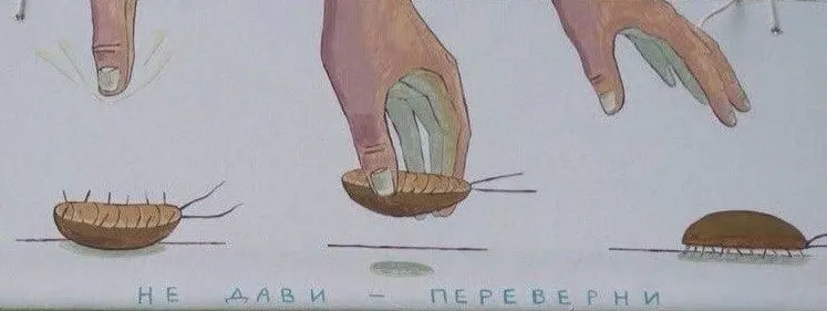 Пост канала «ЧКИ» от 30 сентября 2026 г.