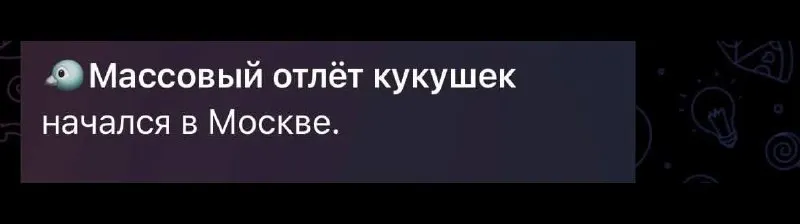 Пост канала «Книги и вокруг | Никита Василенко» от 29 сентября 2026 г.