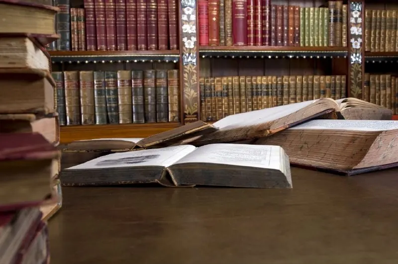 Пост канала «Книжкова жаба» от 30 августа 2026 г.
