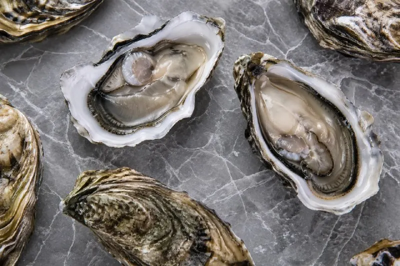 Post by “Boston Seafood на Новой Риге🦐” from September 24, 2026