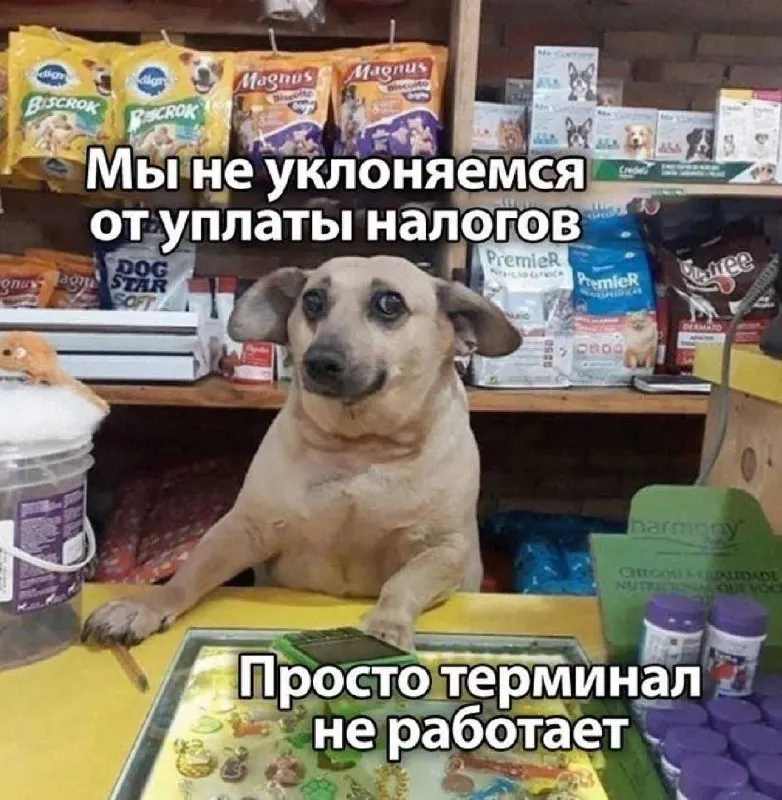 Post by “Бизнесмемка” from September 29, 2026
