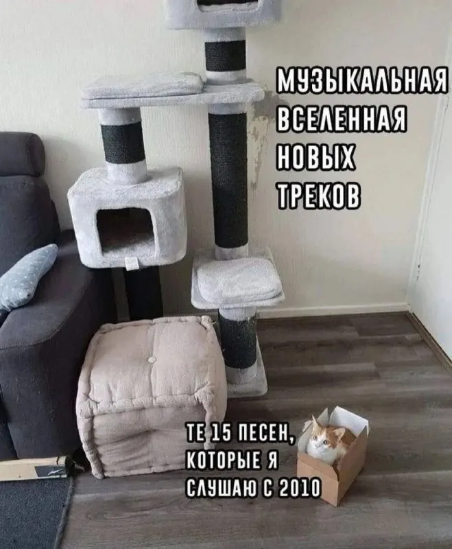 Пост канала «cats, i love cats» от 30 сентября 2026 г.