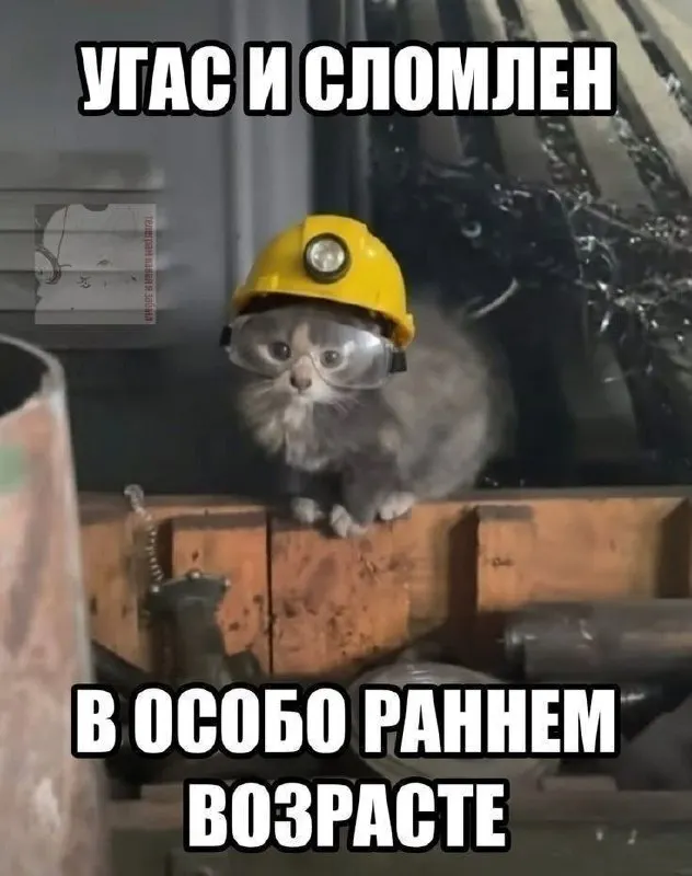Пост канала «Чупапия» от 30 сентября 2026 г.