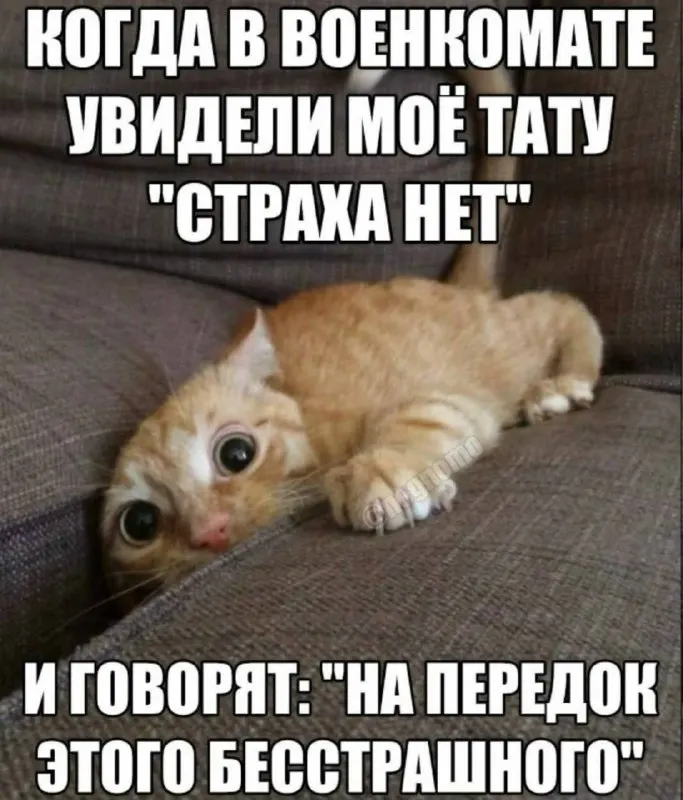 Пост канала «Чупапия» от 30 сентября 2026 г.