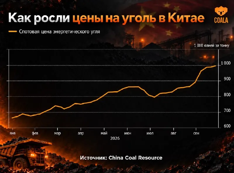 Пост канала «Coala» от 30 сентября 2026 г.