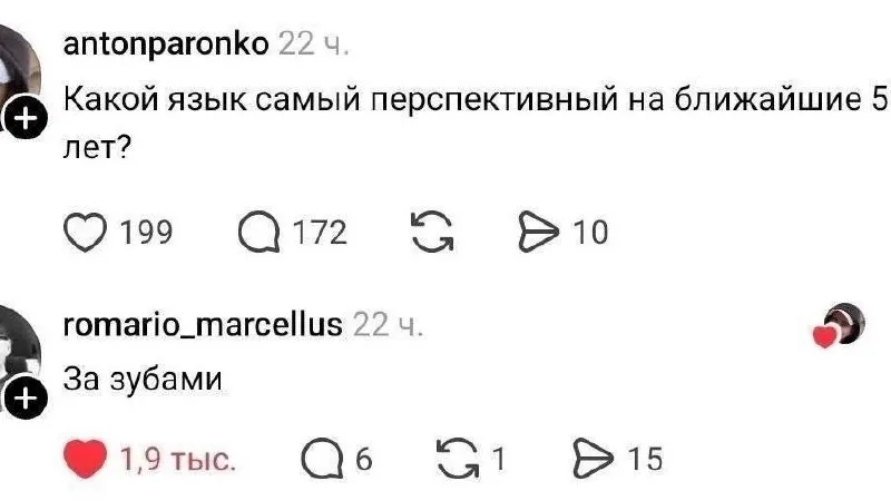 Пост канала «Кто сегодня обосрался в твидыре?» от 23 сентября 2026 г.