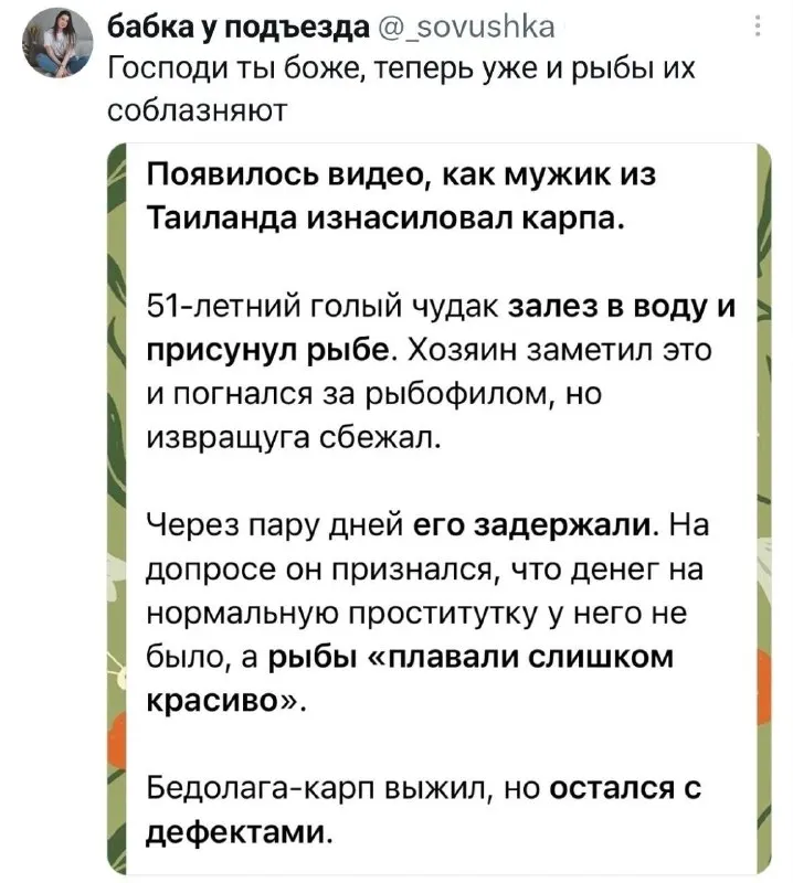 Пост канала «Кто сегодня обосрался в твидыре?» от 25 сентября 2026 г.