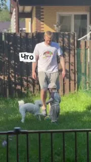 Пост канала «danilin.» от 30 августа 2026 г.