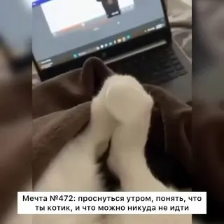 Пост канала «мысли о приятном» от 27 сентября 2026 г.