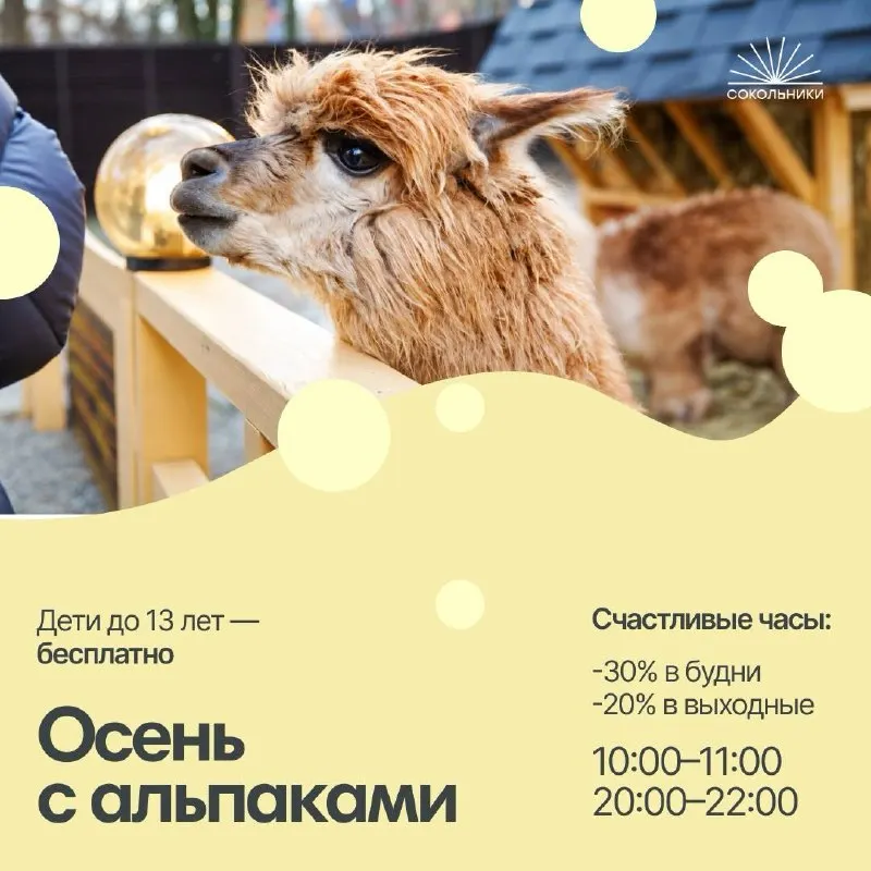 Пост канала «Москва — детям» от 28 сентября 2026 г.