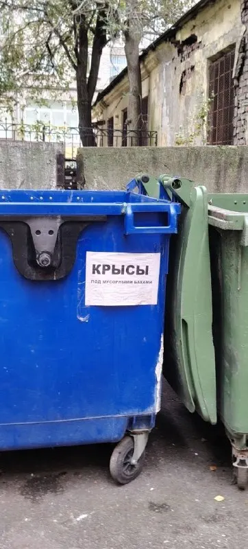 Пост канала «Кибераутизм» от 29 сентября 2026 г.