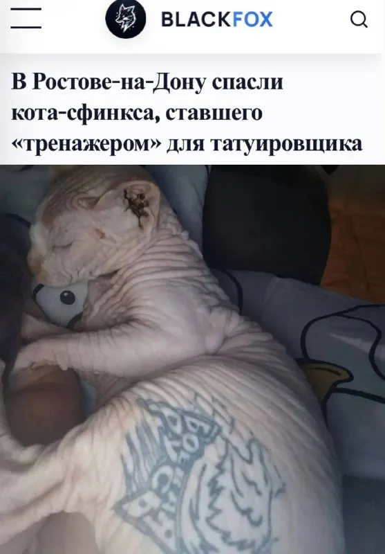 Пост из Пул N3