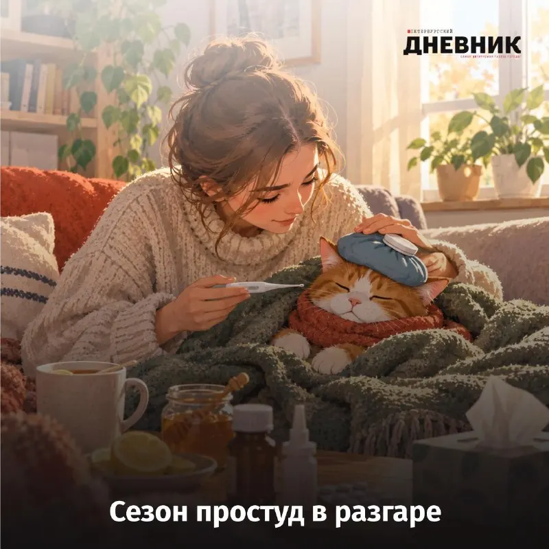 Пост канала «Петербургский дневник» от 1 октября 2026 г.
