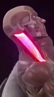 Пост из Двач