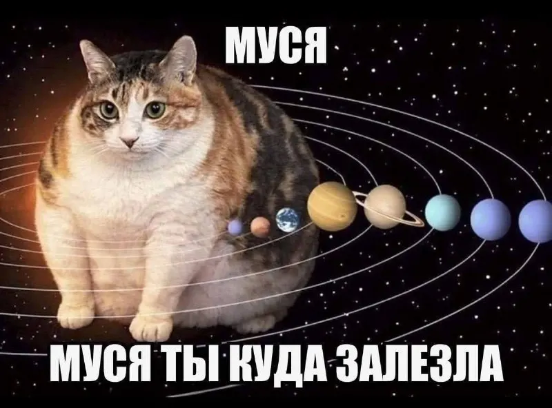 Пост канала «Дура ты!И коза твоя дура!» от 1 октября 2026 г.