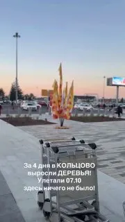 Пост из E1.RU | Новости Екатеринбурга