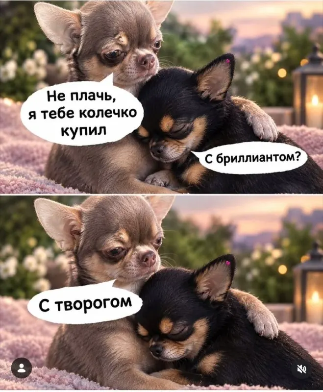 Пост канала «Эдуард Каневский» от 29 сентября 2026 г.