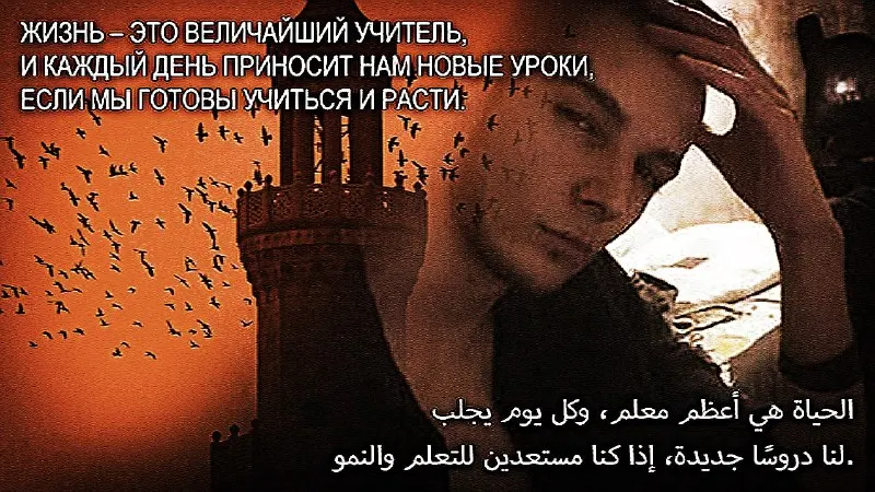 Пост канала «ELIT PAPKE» от 29 сентября 2026 г.