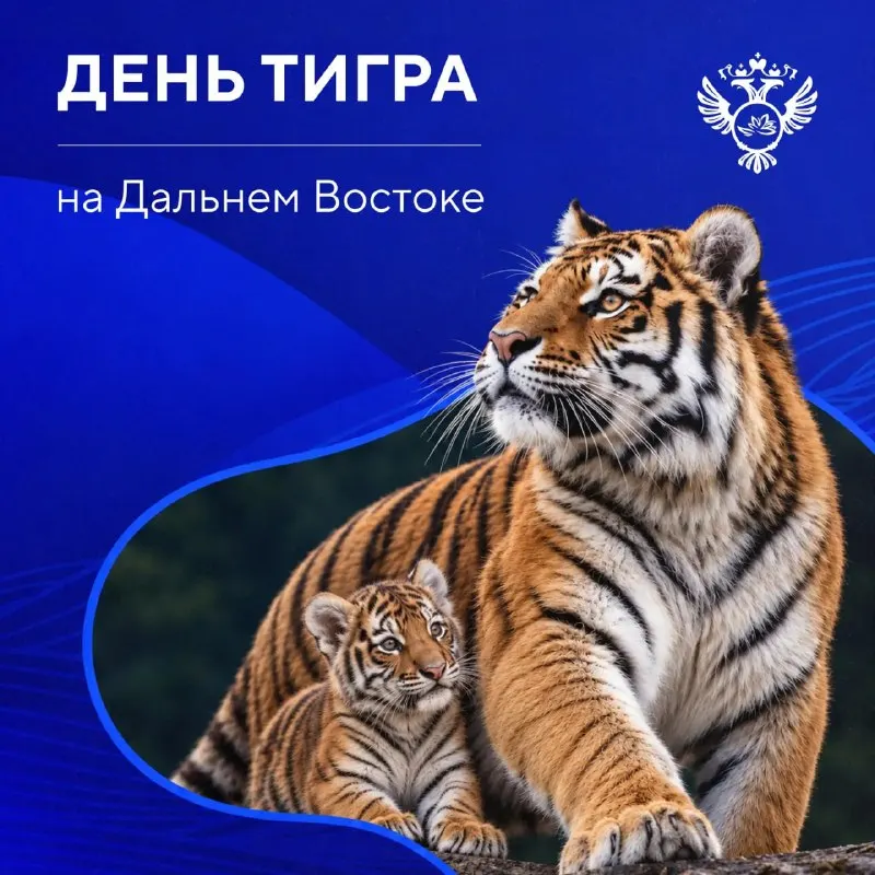 Пост канала «КРДВ» от 27 сентября 2026 г.