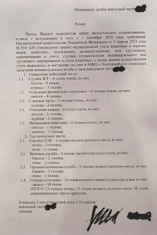 Пост канала «Злой Морячок» от 6 сентября 2026 г.