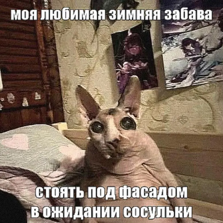 Пост канала «ритуалы онлайн» от 30 сентября 2026 г.