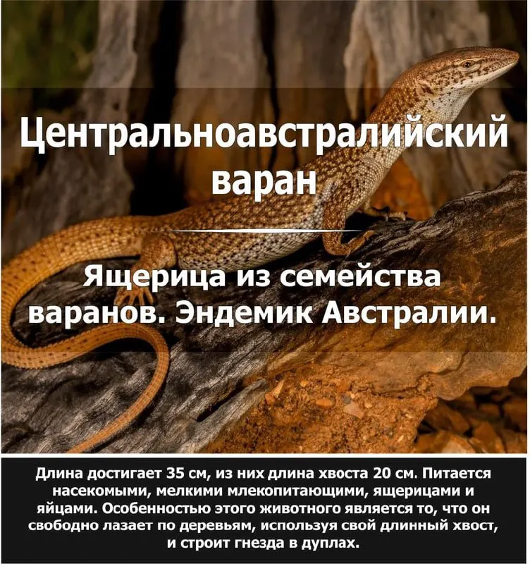 Пост канала «Факт Дня | Саморазвитие» от 21 ноября 2025 г.