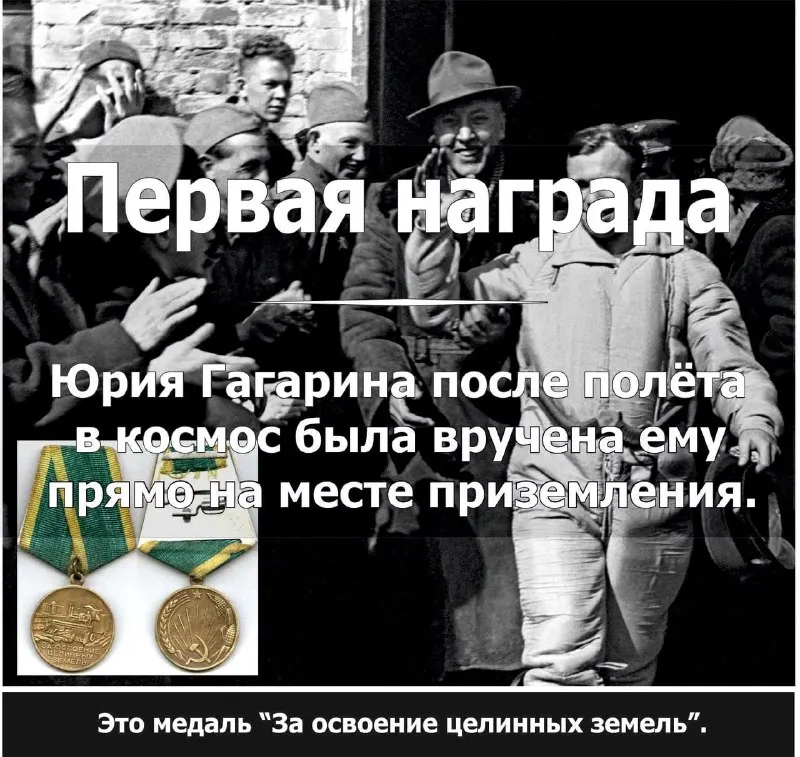 Пост канала «Факт Дня | Саморазвитие» от 24 ноября 2025 г.