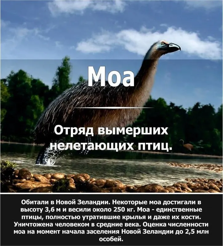 Пост канала «Факт Дня | Саморазвитие» от 27 ноября 2025 г.